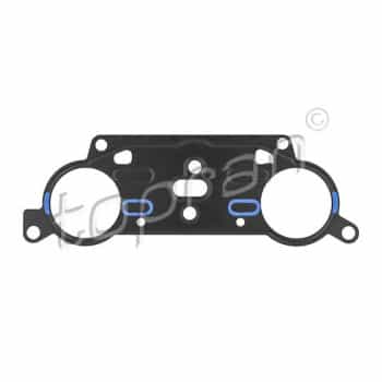 Gasket, timing case
