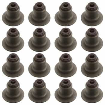 Seal Set, valve stem