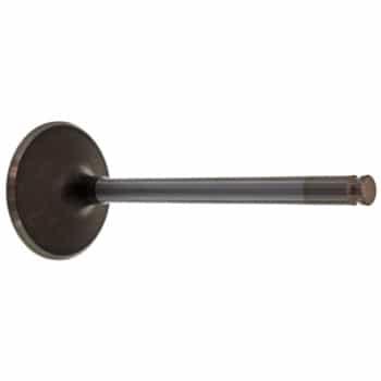 Inlet Valve