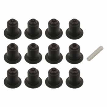 Seal Set, valve stem