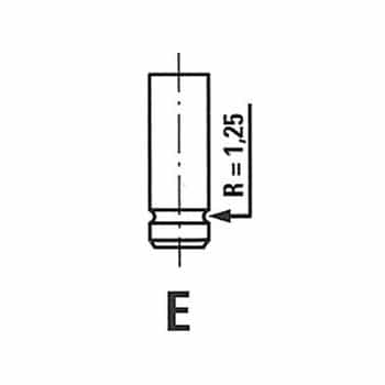 Intake valve
