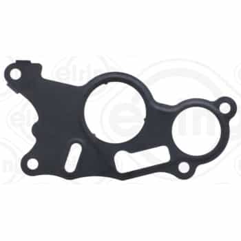 Gasket, vacuum pump