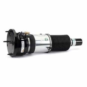 Pneumatic strut