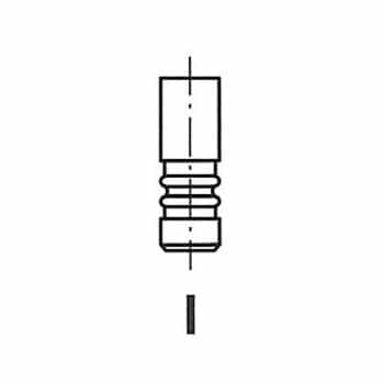 Intake valve