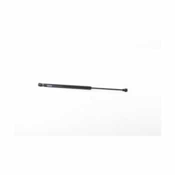 Gas spring, trunk
