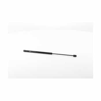 Gas spring, trunk