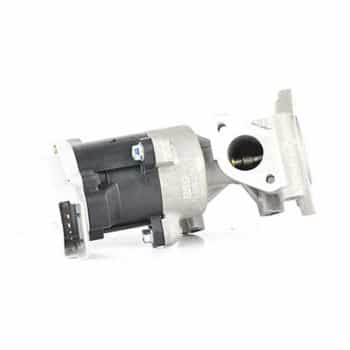 EGR valve