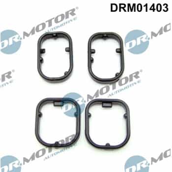 Seal kit, oil cooler