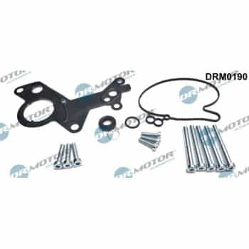 Repair kit, vacuum pump (brake system)