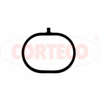 Gasket, intake manifold