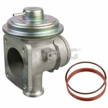EGR valve