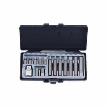 15pc 10mm Hex bit set