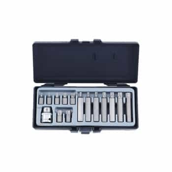 15pc 10mm Star bit set