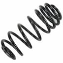 Coil spring & leaf springs