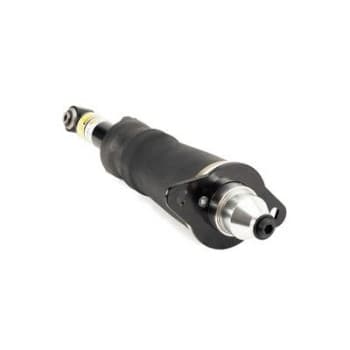 Air Spring Strut