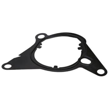 Gasket, vacuum pump