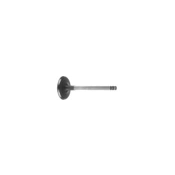 Inlet Valve