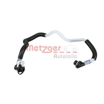 Fuel Line