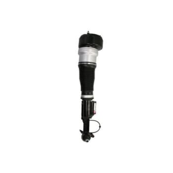 Pneumatic strut