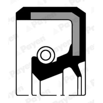 Shaft Seal, crankshaft NA5090 Payen