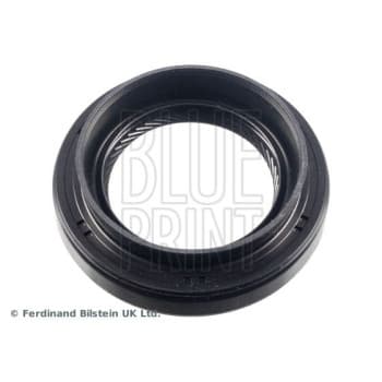 Oil seal, gear